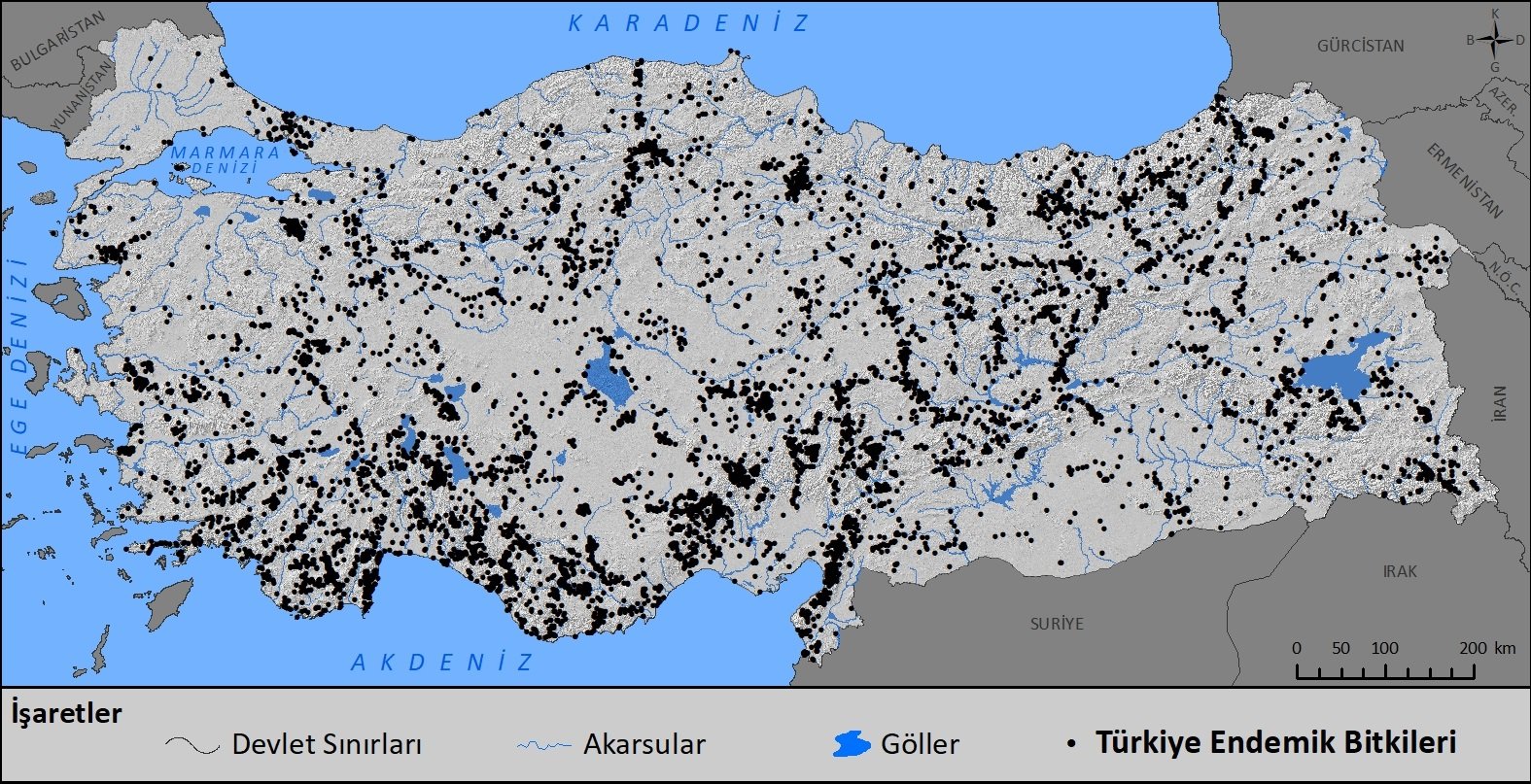 arş_olnk_endemik_1
